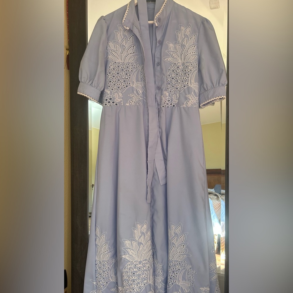 Light Blue Embroidered Dress